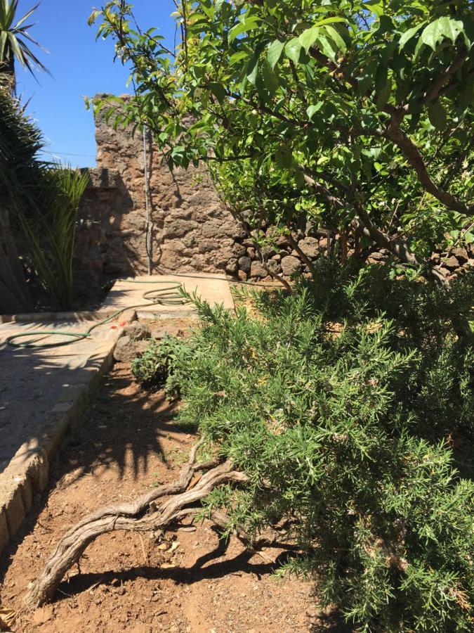 Cactus B&B Le Casette Di Marilena Pantelleria Zewnętrze zdjęcie